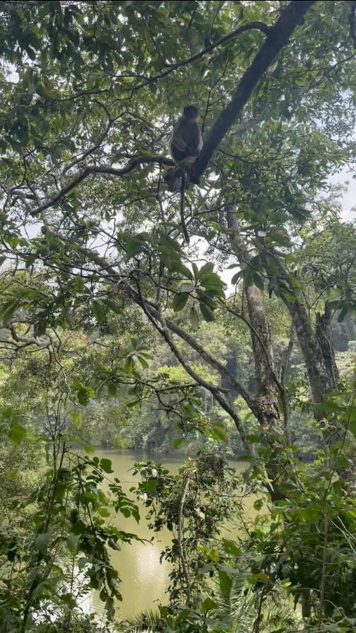 Lake Nkuruba Nature Reserve Durama Exterior foto