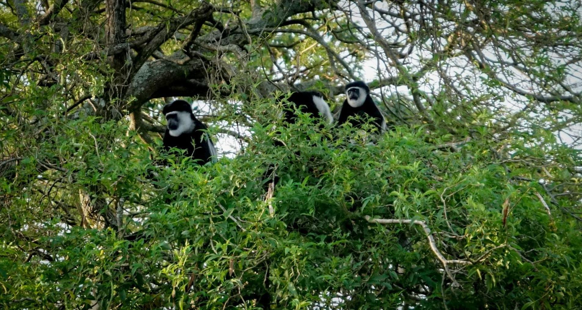 Lake Nkuruba Nature Reserve Durama Exterior foto